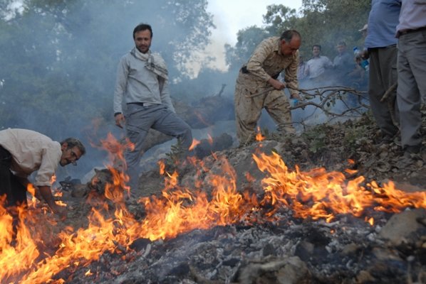 به كارگيري زندانيان و سربازان در مهار آتش جنگل، حفاظت از آب، محيط زيست و معدن