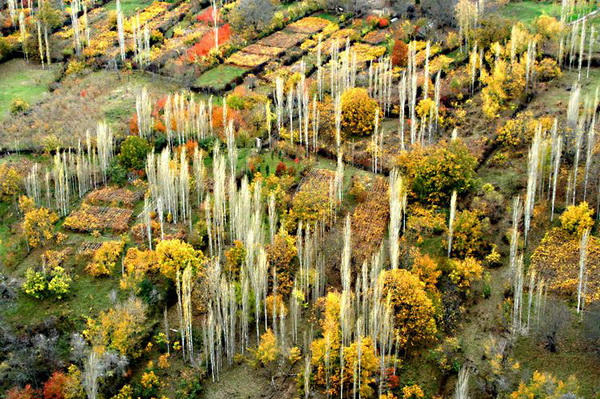 جشنواره رنگ ها در طبیعت زیبای رودبار +تصاویر