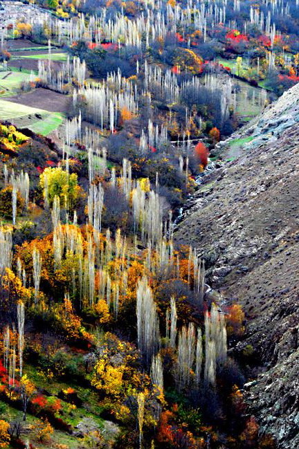 جشنواره رنگ ها در طبیعت زیبای رودبار +تصاویر