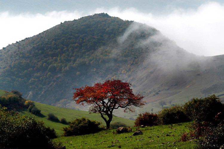 جشنواره رنگ ها در طبیعت زیبای رودبار +تصاویر