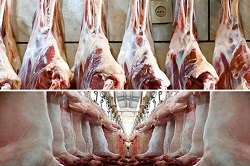 کاهش ۱۰۰۰ تومانی قیمت گوشت گوسفندی