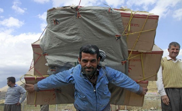 سنگ‌ها را بسته و سگ‌ها را آزاد کرده‌اند