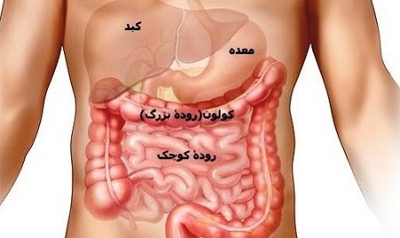 آزمایش هایی ضروری که هر زنی باید انجام دهد/چک آپ های پزشکی را سر وقت انجام دهید.
