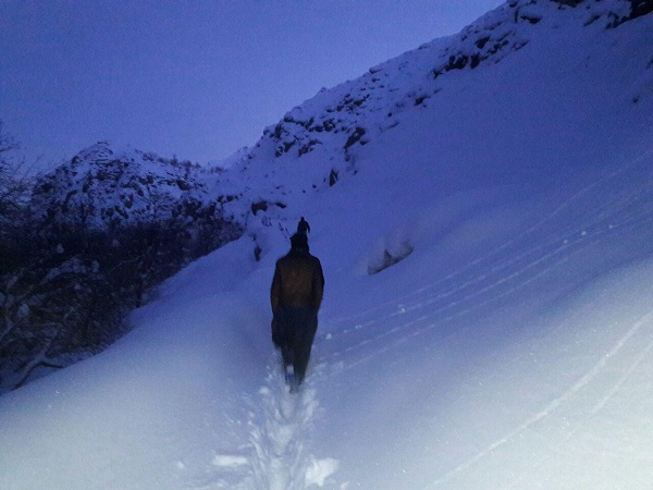نجات بز کوهی گرفتار در برف و کولاک توسط طرفداران محیط زیست در اورامان + تصاویر