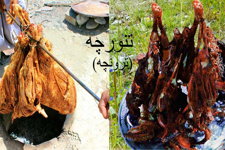 مکانهای دیدنی سرزمین اساطیری سیستان و بلوچستان چشمنواز گردشگران نوروزی مکانهای دیدنی سرزمین اساطیری سیستان و بلوچستان چشمنواز گردشگران نوروزی
