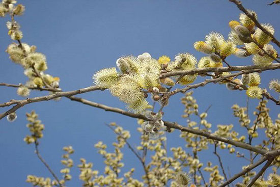 سفر نوروزی به آذربایجان غربی، نگین ایران زمین