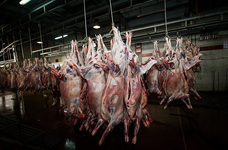افزایش قیمت مصرف گوشت در ایران را نشانه رفت / دلالان مترصد بازار شب عید گوشت