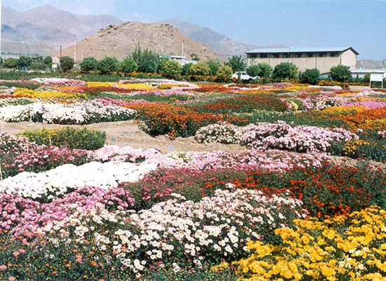 10 مقصد گردشگری برای سفرهای نوروزی