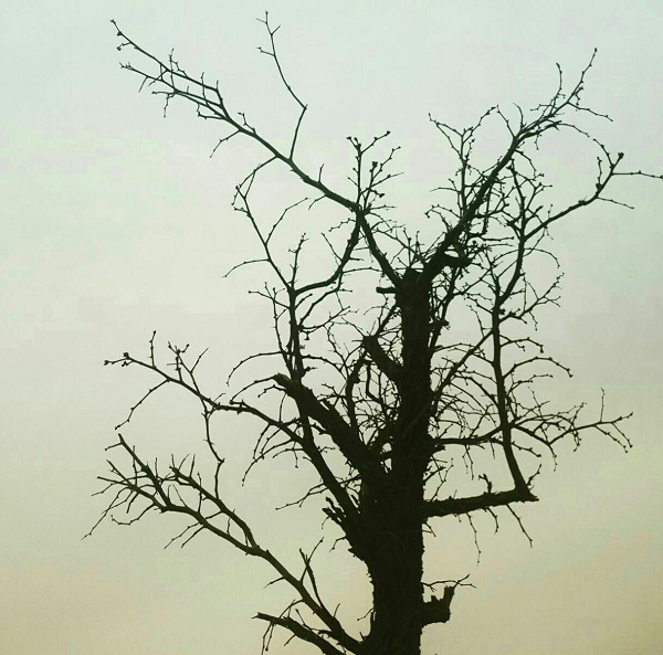 طبیعت زیبای سیستان در زمستان (دهکول مرکزی)