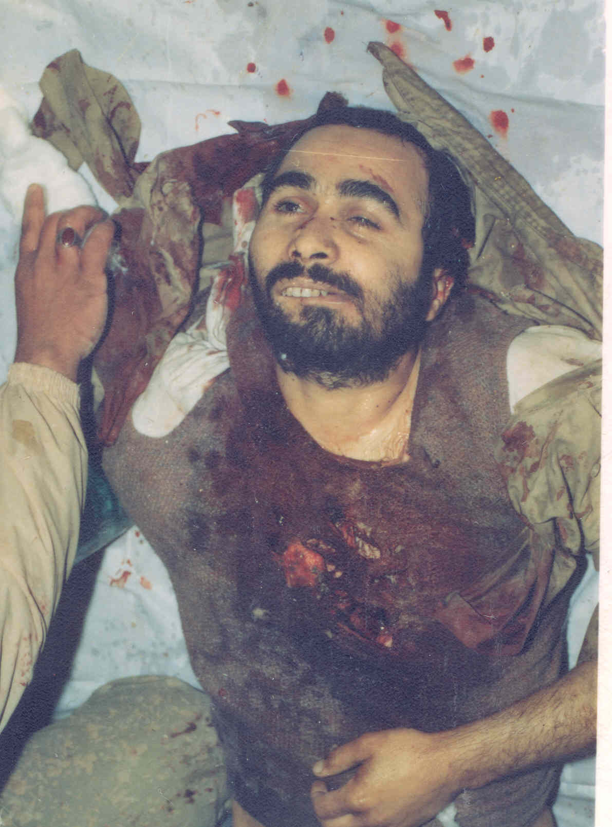 حاج حسین خرازی، پروانه ای در چراغانی لاله ها حاج حسین خرازی، پروانه ای در چراغانی لاله ها