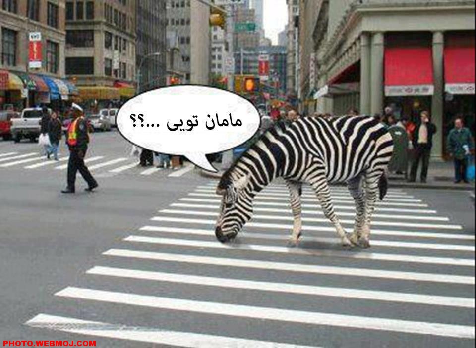 خطای دید در تصویر