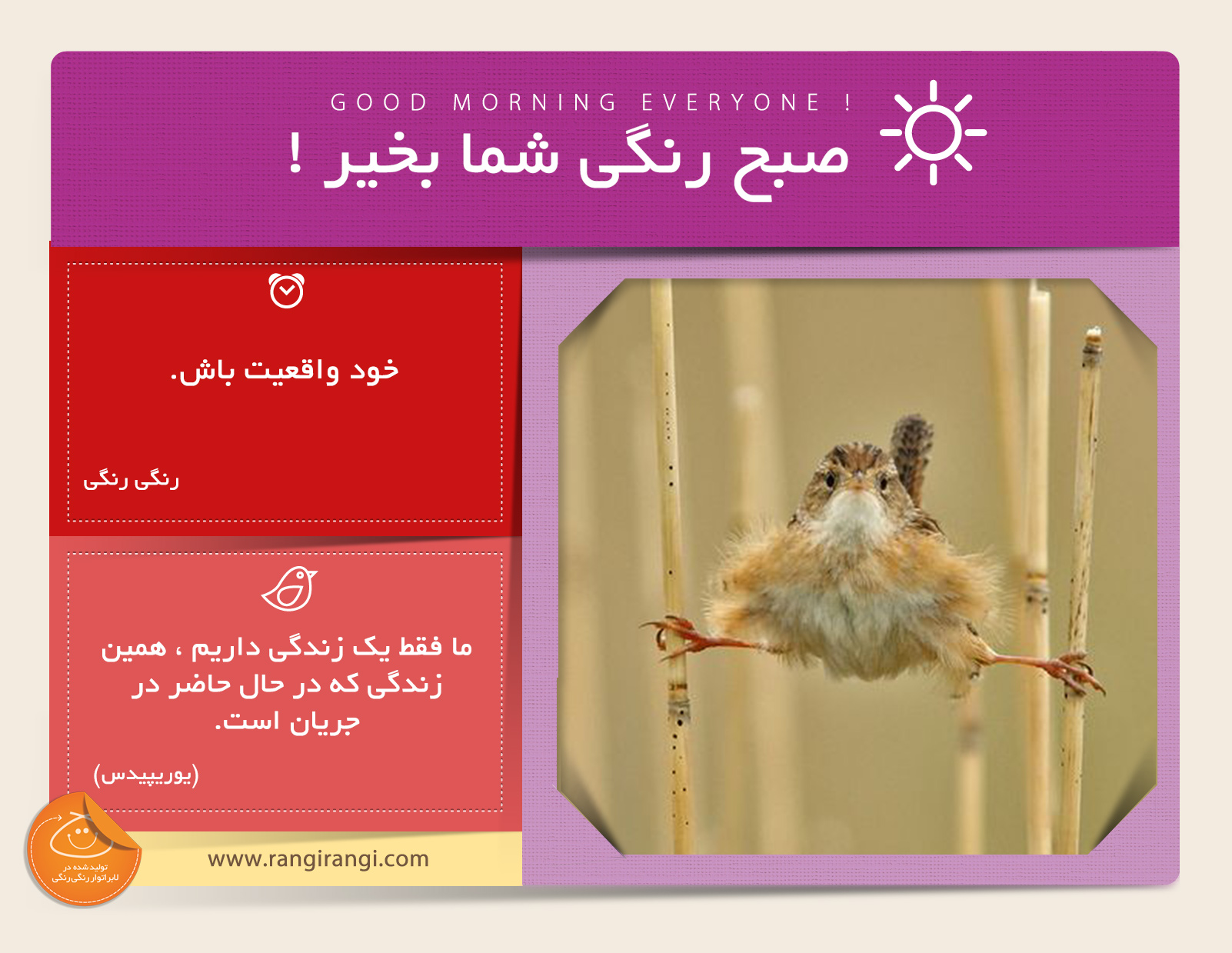 صبحت بخیر و رنگی/ بخاطر نظر دیگران خودت رو تغییر نده