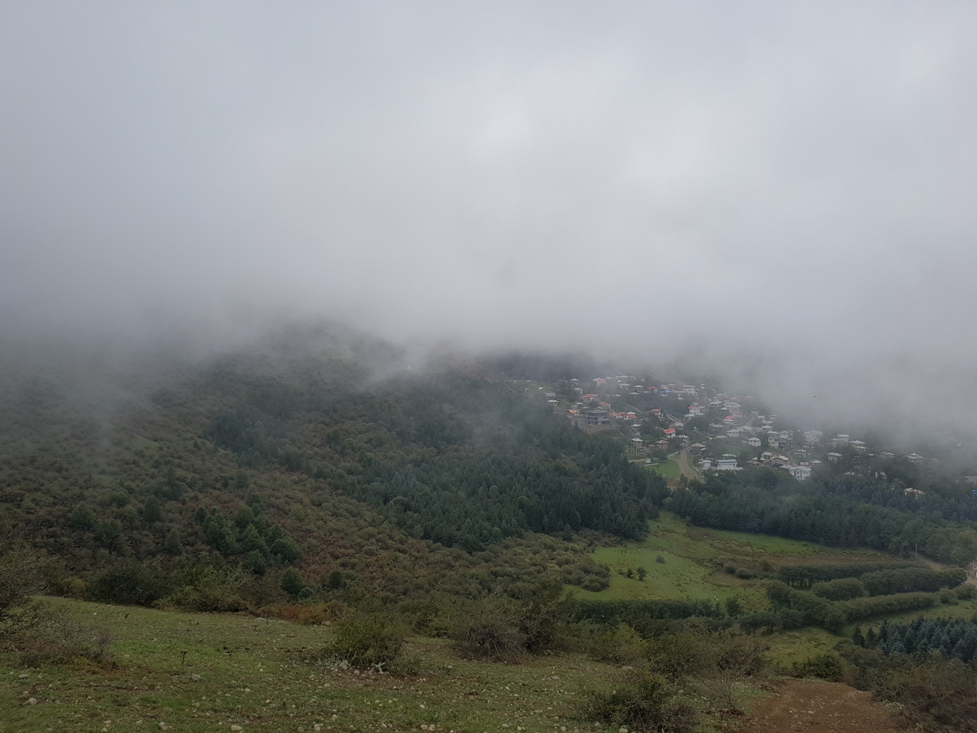 سامسونگ بیش از صد هزارمتر متربع زمین را در شمال ایران درختکاری می‌کند