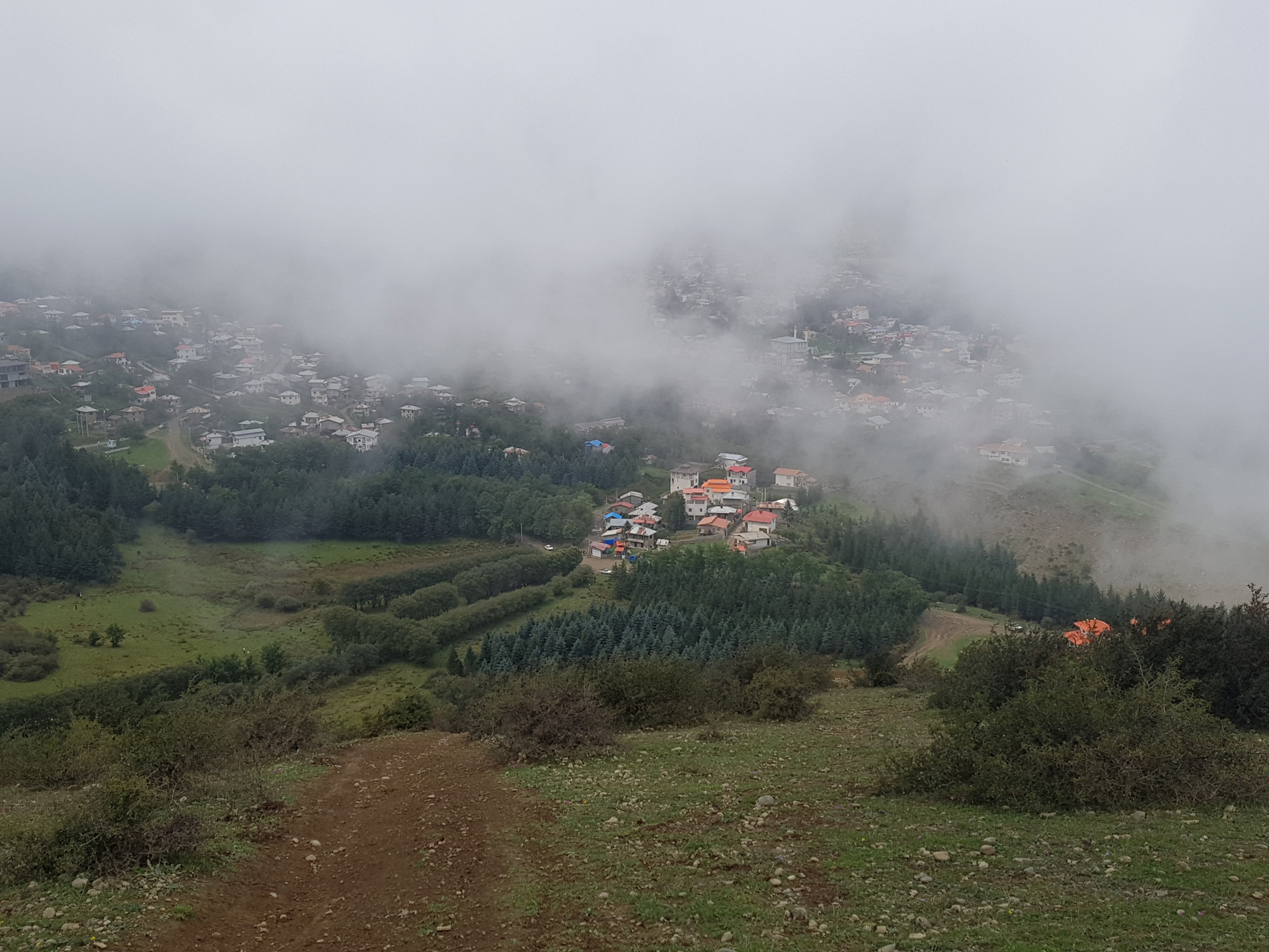سامسونگ بیش از صد هزارمتر متربع زمین را در شمال ایران درختکاری می‌کند