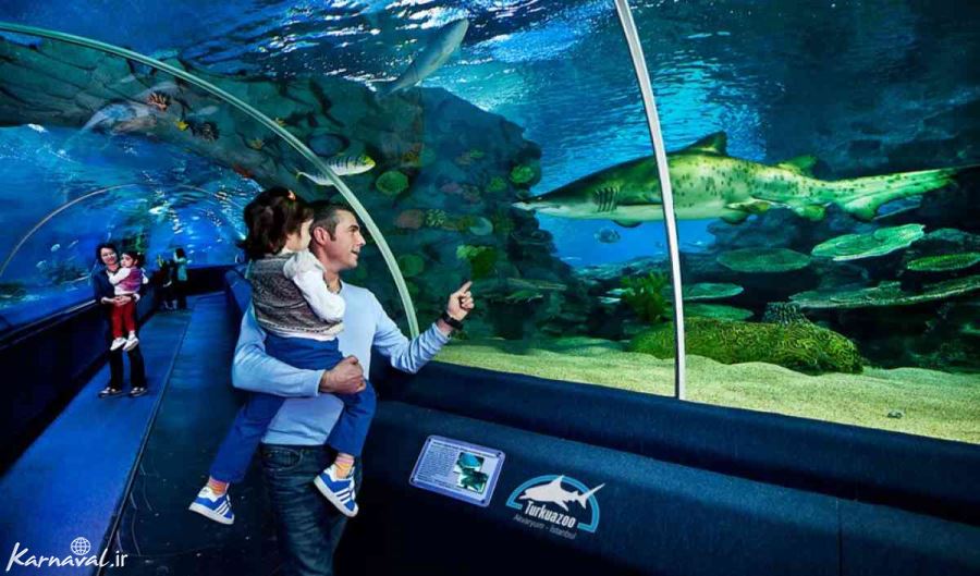 آکواریوم های استانبول | لذت لمس زیبایی های دریا