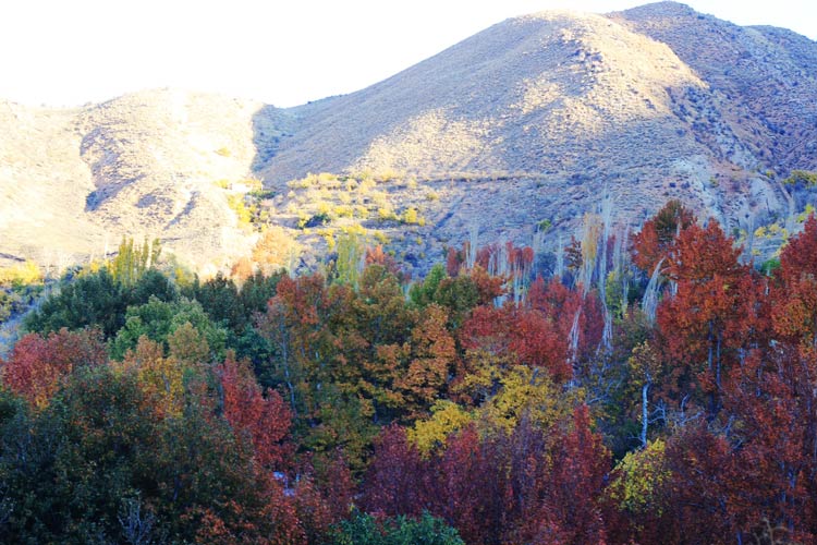 پاییز زیبا در روستای قلات از توابع شیراز