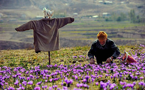 توانمندسازی اقتصادی، تجربه‌ای موفق برای توسعه‌ی روستایی