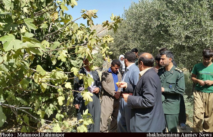 12 هزار واحد صنایع تبدیلی در کشور راه‌اندازی می‌شود/ تحقق اهداف اقتصاد مقاومتی در دستور کار ماست