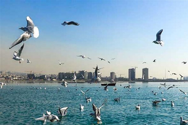 تفریحات ارزان برای یک روز تعطیل / تورهای تهرانگردی چه قیمتی دارند؟ تفریحات ارزان برای یک روز تعطیل / تورهای تهرانگردی چه قیمتی دارند؟
