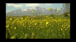 نیکوست حال ما که نکو باد حال گل نیکوست حال ما که نکو باد حال گل