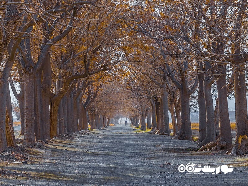 20 جاذبه توریستی کمتر شناخته شده ایران