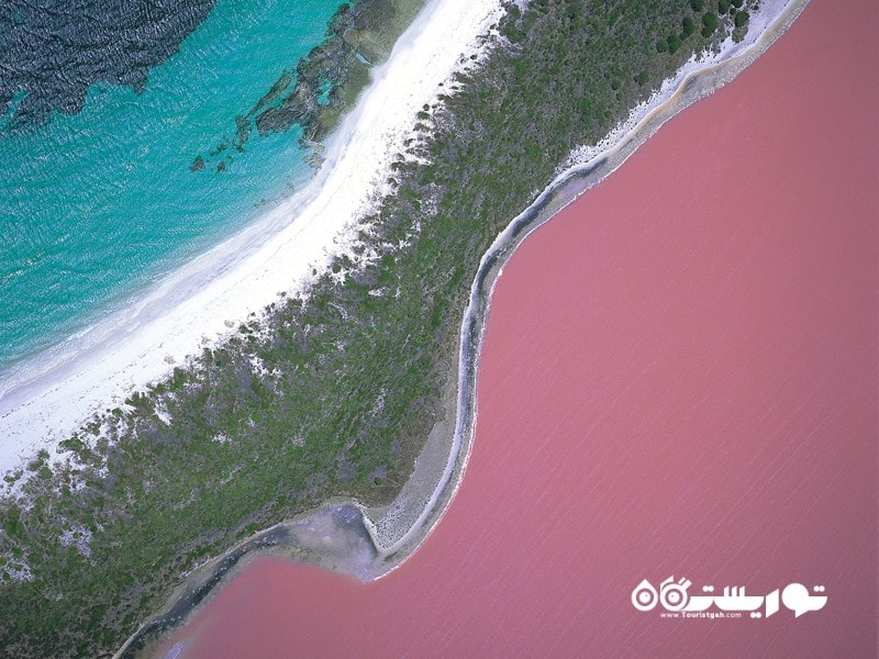 آشنایی با دریاچه صورتی شگفت انگیز در استرالیا  + تصاویر