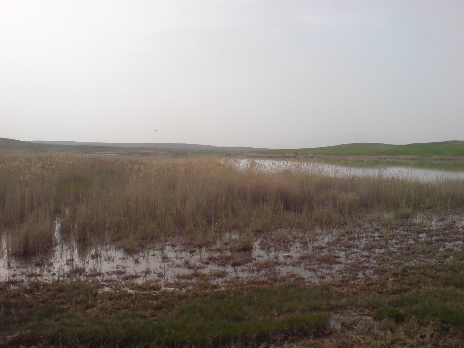 راهنمای سفر به اردبیل/ اماکن دیدنی و هتل‌ها + تصاویر