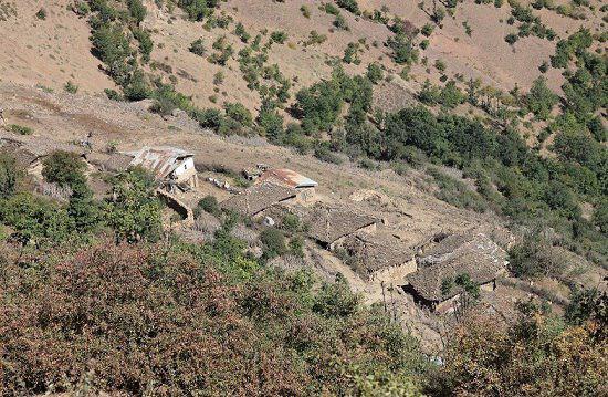 حمله پلنگ به روستای محروم مِچِر و از بین بردن ۷ گاو