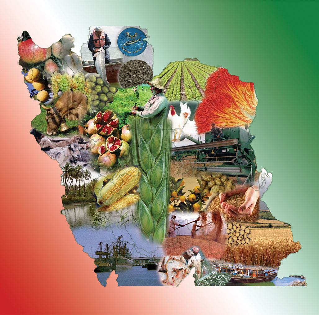 چرا تراز تجاري كشاورزي همچنان منفي است؟+جدول