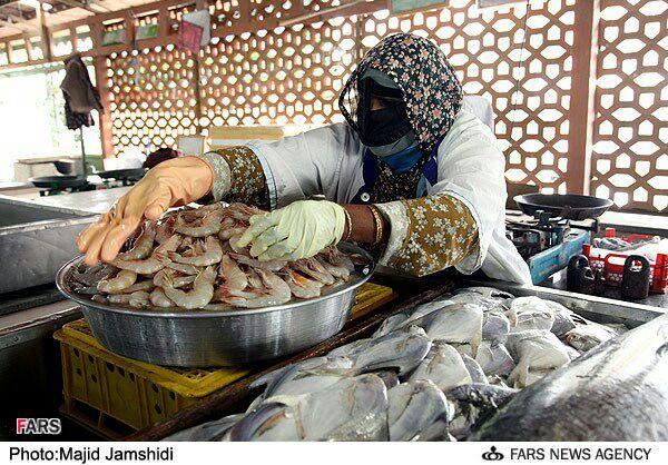 گزارش تصویری از بندر عباس گردی