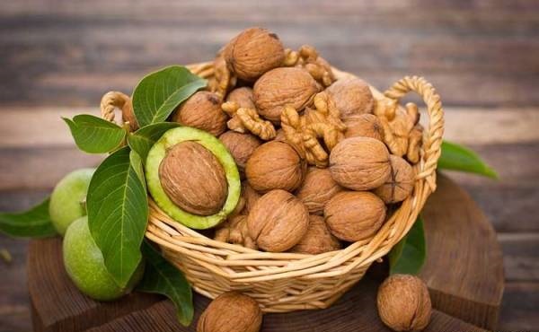 سیر شدن فقط با یک مشت گردو