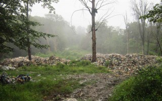 جنگل‌های مازندران؛ مامن زباله‌های رنگارنگ