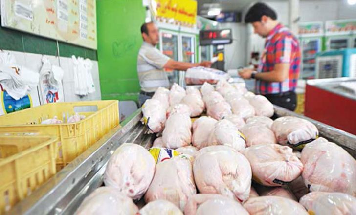 عرضه مرغ با قیمت ۷۷۰۰ در مراکز خرده فروشی