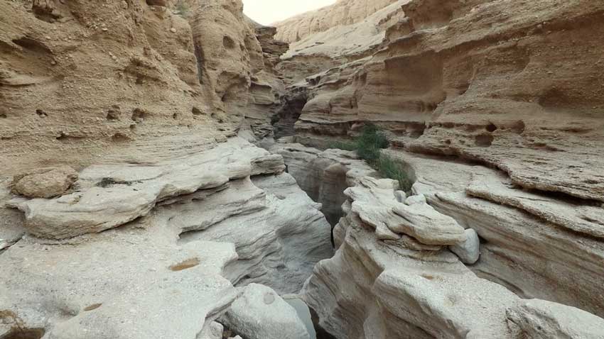 کال جنی منطقه ای ترسناک باید دید کال جنی منطقه ای ترسناک باید دید