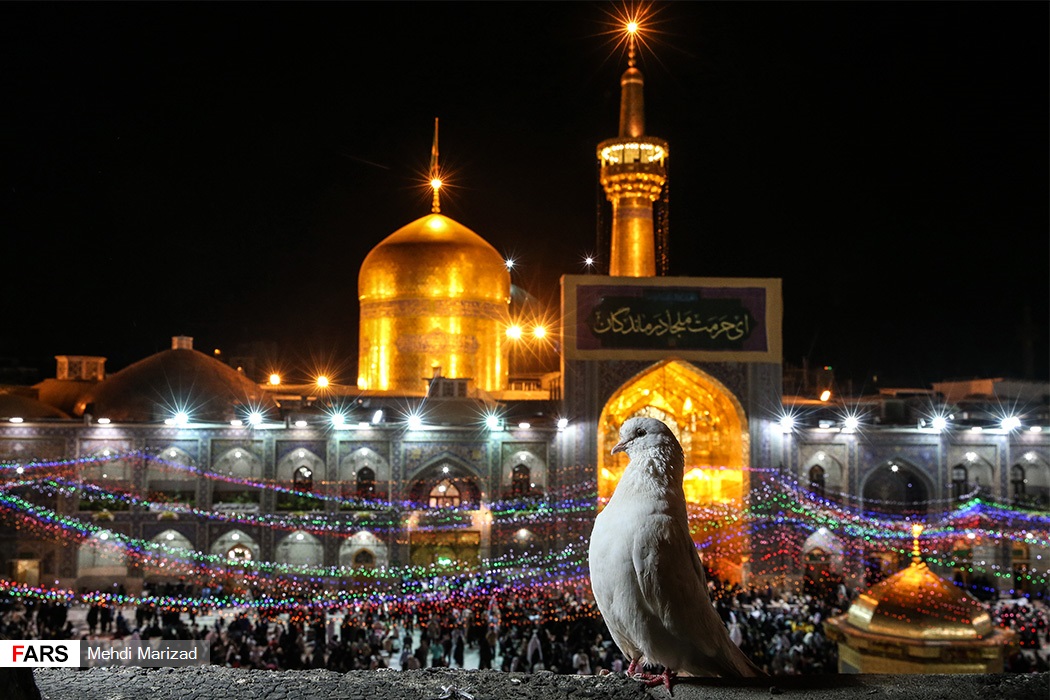 عکس حرم امام رضا در مشهد مقدس