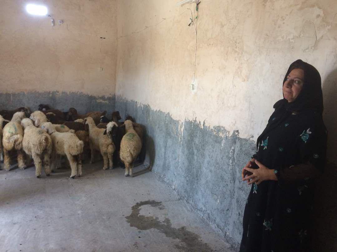 326 فرصت شغلی برای زنان سرپرست خانوار زلزله‌زده‌ کرمانشاه