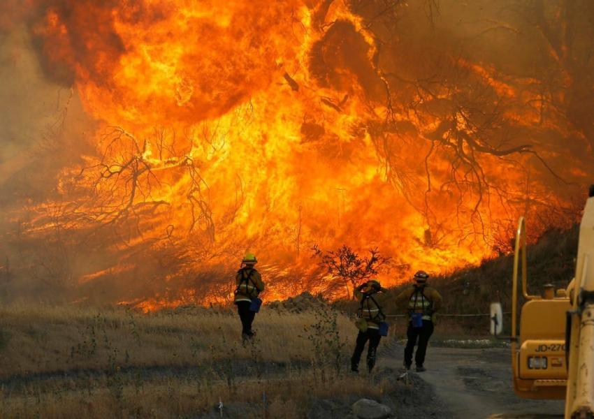 حتی یک عکس از کشته های آتش سوزی کالیفورنیا پخش نشد