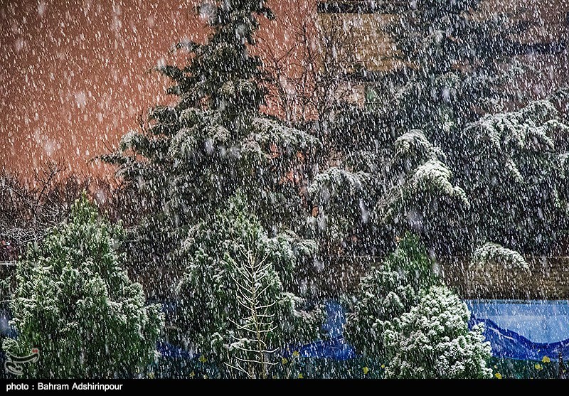 بارش برف در اردبیل