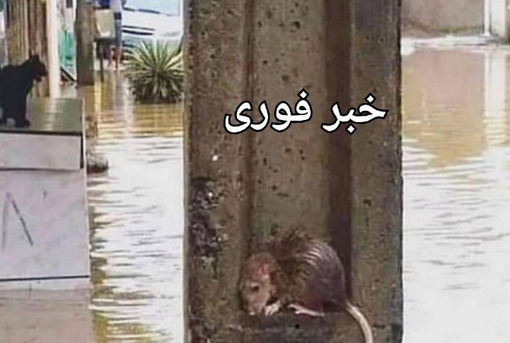 با احساس ترين عکس سیل در شیراز جهانی شد