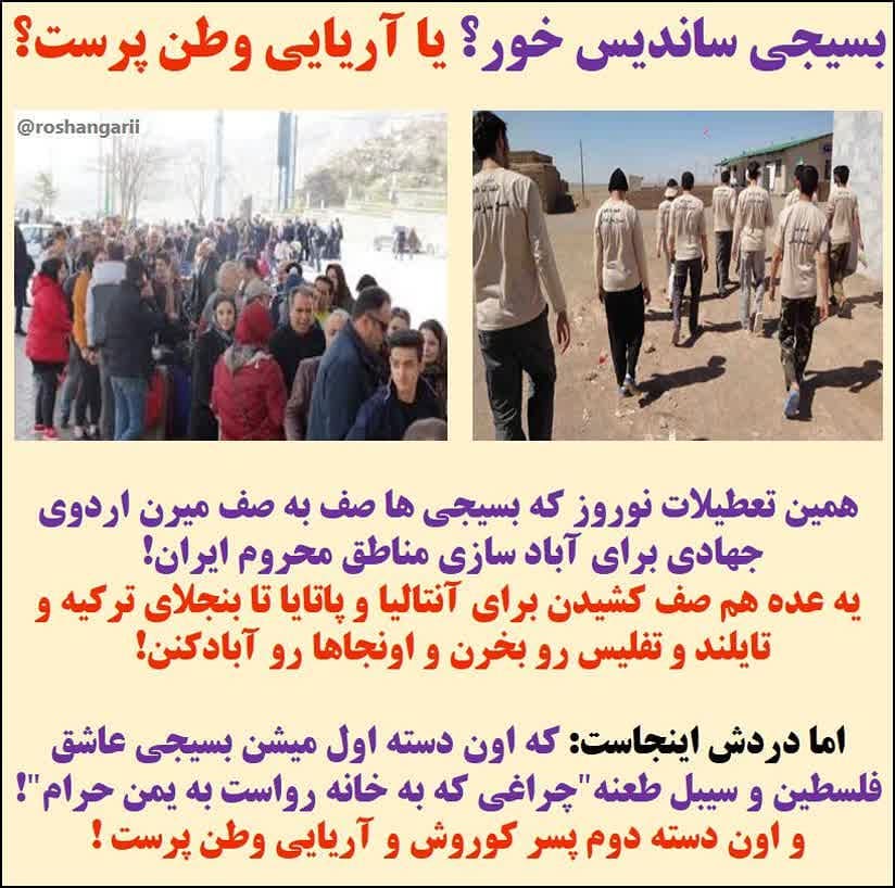 سیلزدهها و تقیزادهها سیلزدهها و تقیزادهها