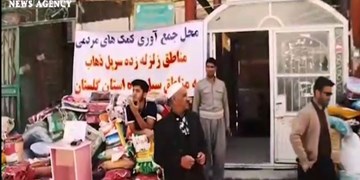 سیلزدهها و تقیزادهها سیلزدهها و تقیزادهها