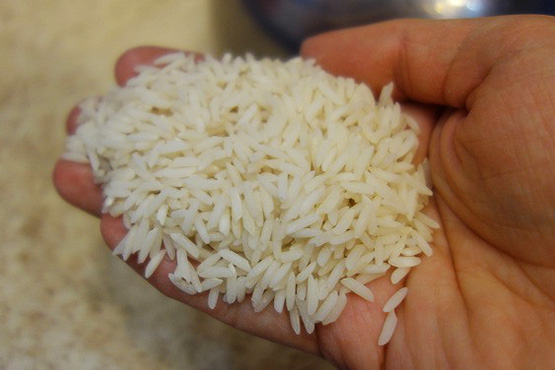 خوش آمد گویی لیست تورم های نجومی به برنج