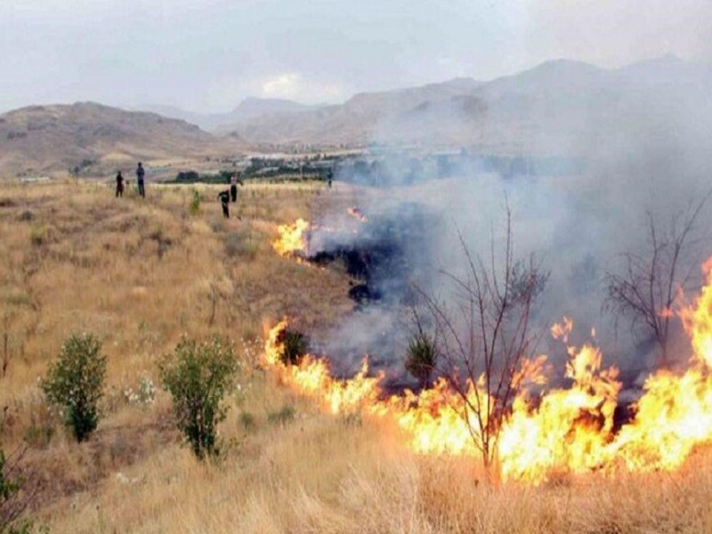 آتش سوزی در حال گسترش در بخشی از تپه های شرق استان تهران