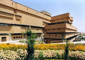 مراسم نامتعارف و عجیب احیا در کتابخانه ملی مراسم نامتعارف و عجیب احیا در کتابخانه ملی