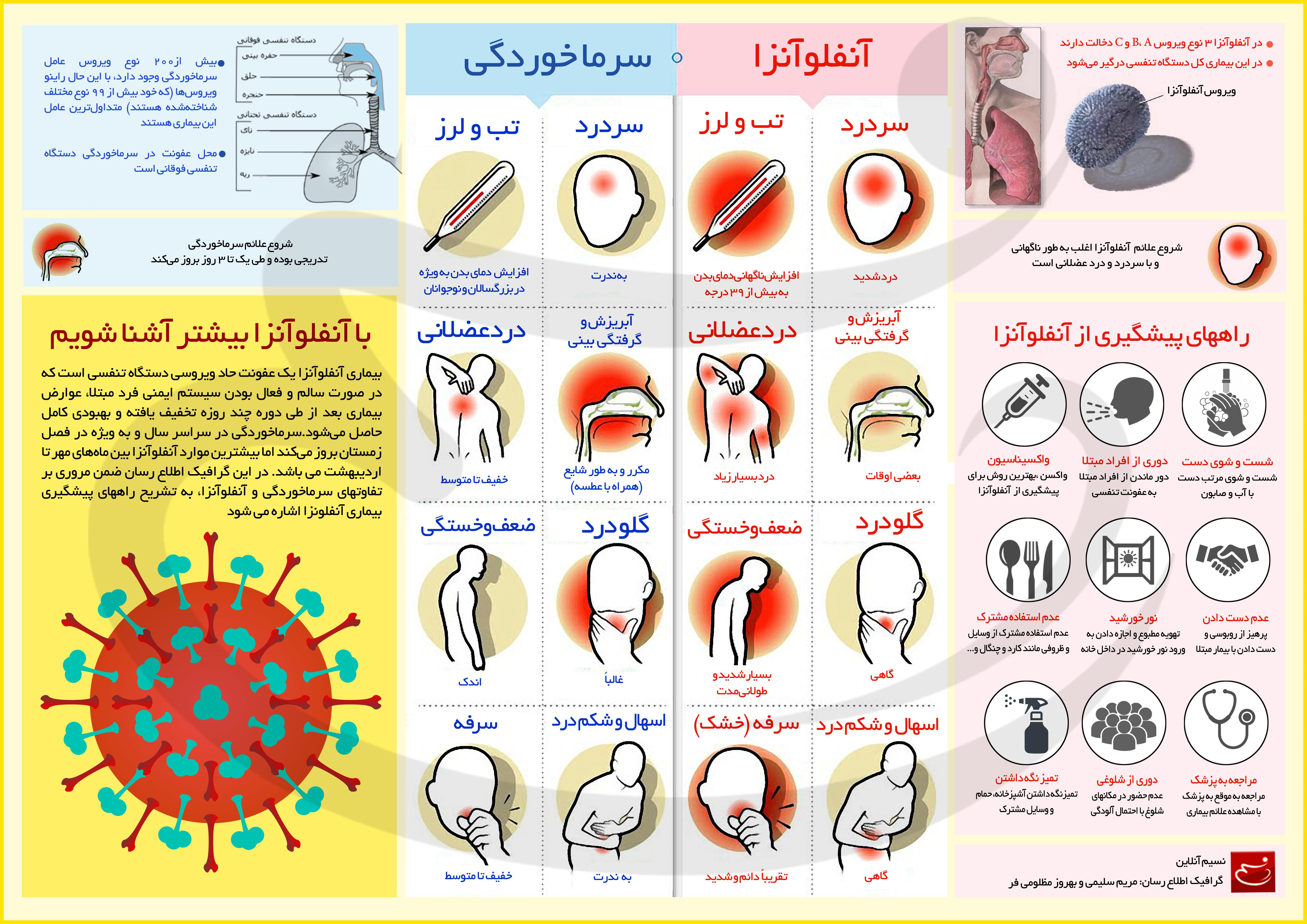 با انواع اینفوگرافیک آشنا شویم