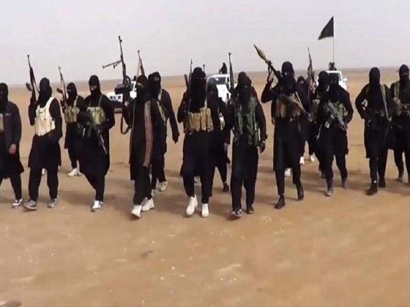 افزایش تحرکات داعش در شنگال و کردستان عراق