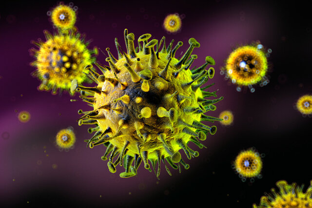 تاثیر یک ویروس سرماخوردگی شایع بر درمان سرطان مثانه