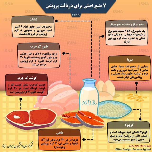 ۷ منبع اصلی برای دریافت پروتئین را بشناسید + اینفوگرافیک