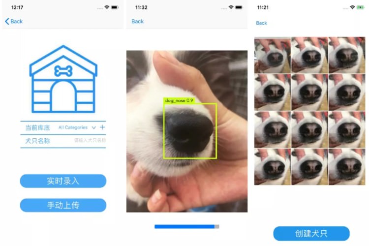 طراحی اپلیکیشنی برای شناسایی سگ ها