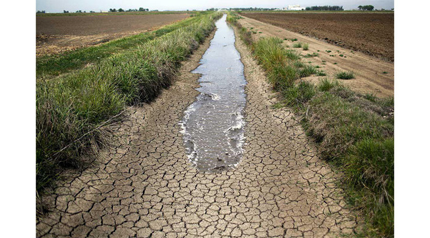 بحران آب یا بحران مدیریت آب، کدام بحران دامن گیر کشور شده است؟!
